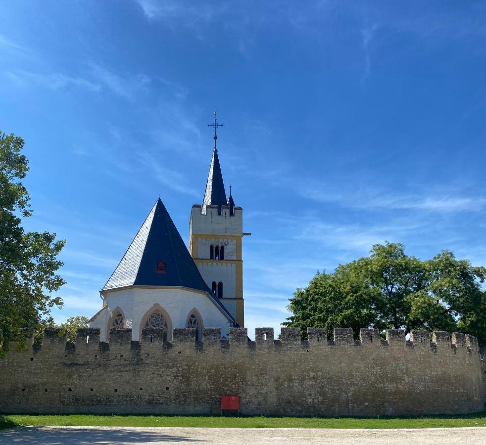 Вілла Haeuschen Am Plenzer Інгельгайм-ам-Райн Екстер'єр фото