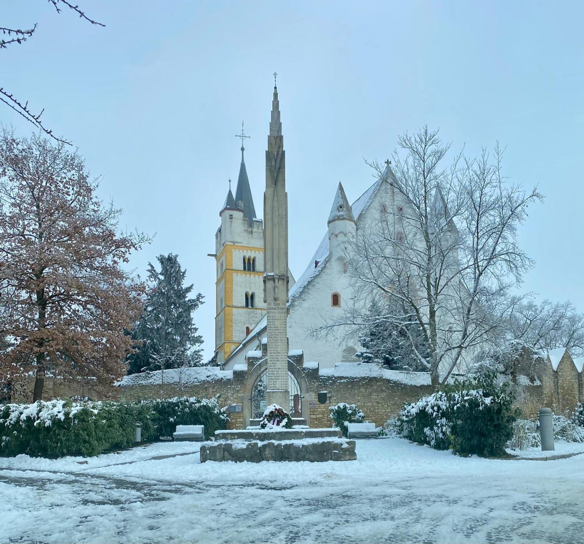 Вілла Haeuschen Am Plenzer Інгельгайм-ам-Райн Екстер'єр фото